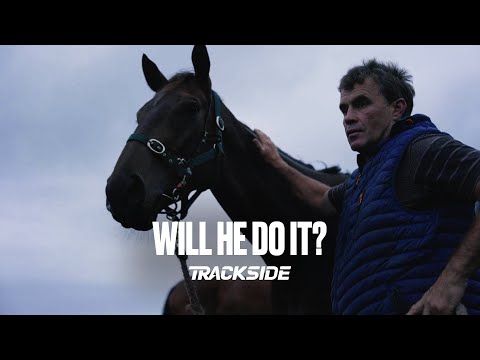 Willydoit feature ahead of the NZ Derby