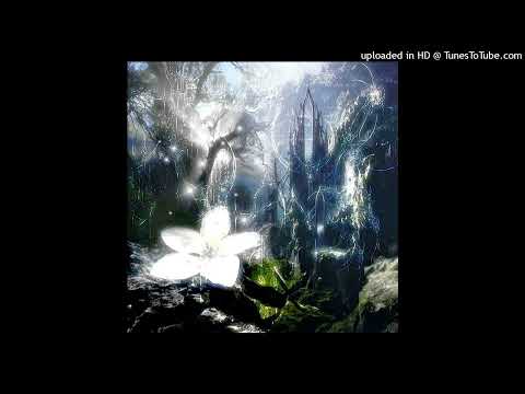 Lil Zé, Dvnte888, Aztro888 - Sai do Meu Pé