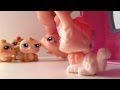 Littlest pet shop - LPS FNAF Series- Foxy's Crush ...
