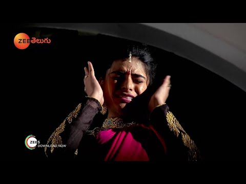 Gruhapravesam - Telugu Tv Serial - Best Scene - 391 - Niprupam Parital, Jayalalitha - Zee Telugu