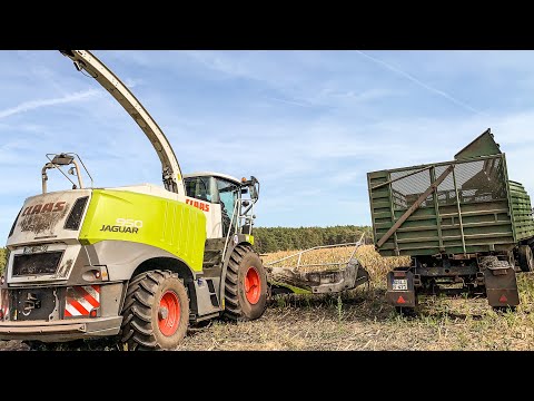 Maisernte 2019 farmer corn harvest Maisernte