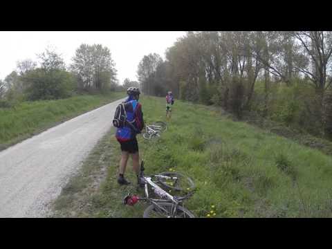 Chi non piscia in compagnia.....