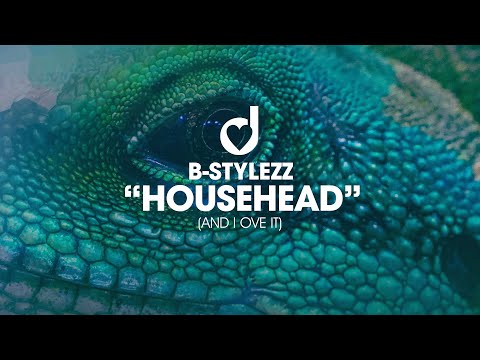 B-Stylezz – Househead (And I Love It)