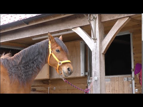 Farouk felt he needed to look a bit sharper