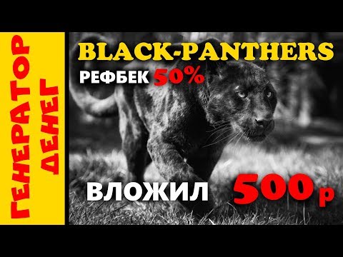 📛 СКАМ 📛Black panthers 📛 Старт бонусника с окупаемостью в 6 дней!