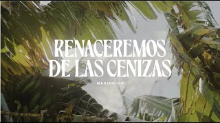 Platanos de Canarias Así se hizo #ContigoRenaceremos de las cenizas  anuncio