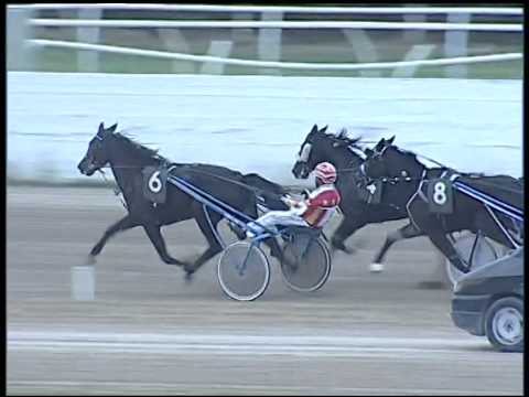 Trotto 26/10/2014 - 6° corsa