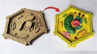 Cardboard Plant Cell Model  DIY Project