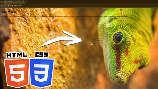 How to Add a Background Image in HTML and CSS