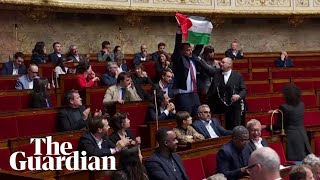 French parliament suspended after MP waves Palestinian flag