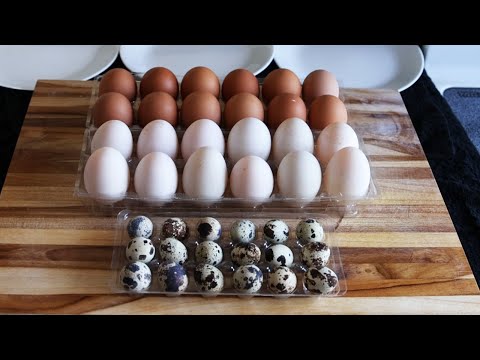 Chicken Eggs vs. Duck Eggs vs. Quail Eggs
