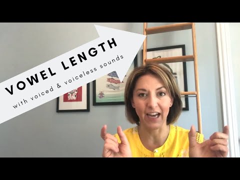 Voiced & Voiceless Sounds & Vowel Length  | hat had - heat heed - hit hid - hurt heard | T & D