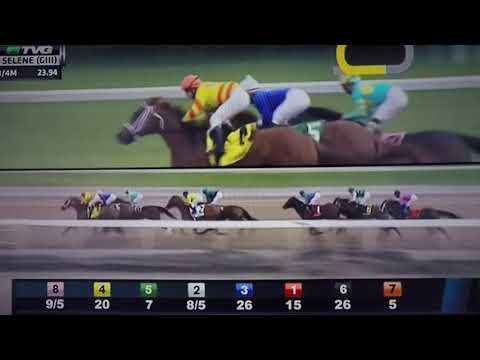 SELENE (G3) STAKES 5/19/18 - MISS MO MENTUM !!!