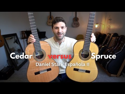 Cedar vs. Spruce | Guitars under $3000 | Daniel Stark Española II | GuitarCollection.com