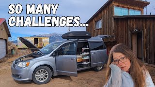 Surviving the Unexpected: Mice Invasion, Severe Weather Delays & Bobcat Sighting!? | Female Van Life