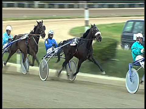 Trotto 07/02/2016 - 2° corsa