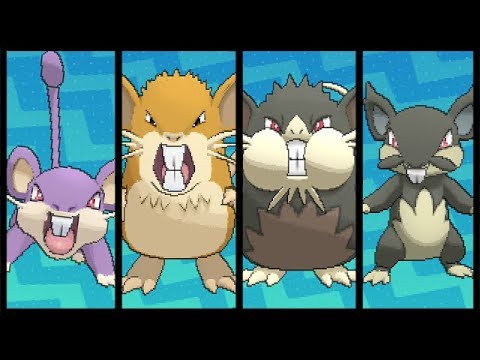 FULL RATTATA EVOLUTION TEAM!