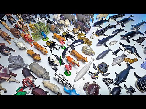 200 Animals from Takara Tomy - Dolphin, whale, shark, octopus, jellyfish, sea turtle, crab, seal