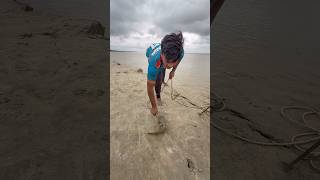 Throwing shark hunting catfish bait  #fishinglife  #fishvideo  #bait