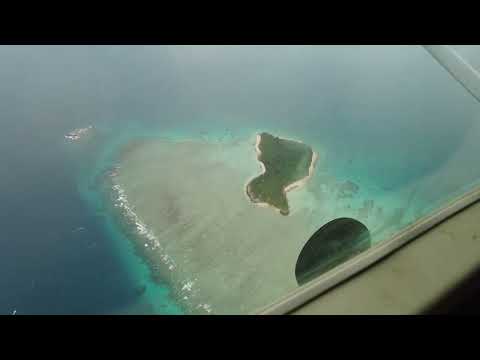 Journey to Lizard Island