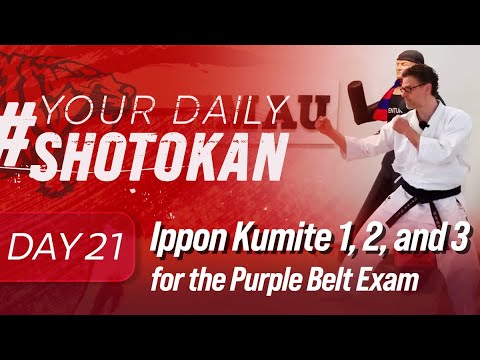 #YourDailyShotokan Day 21: Ippon Kumite 1, 2, and 3 for the Purple Belt Exam