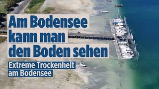 Extremes Niedrigwasser am Bodensee: Erste Boote liegen auf dem Grund