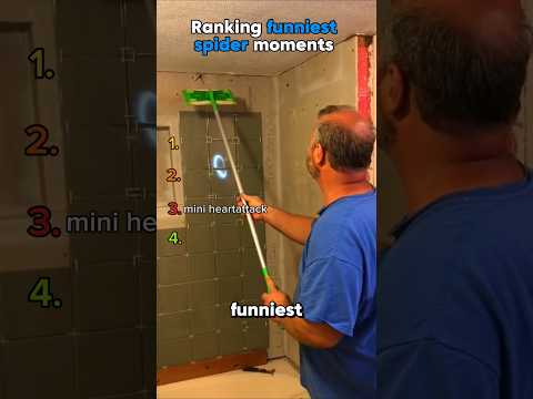 ranking Funniest spiders moments 🕷️ #shorts  #usa