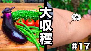 【何もない日常系】お庭のVLOG17