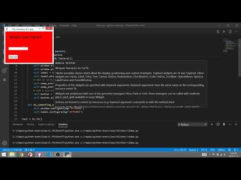 Tkinter 03 entry box (text input)