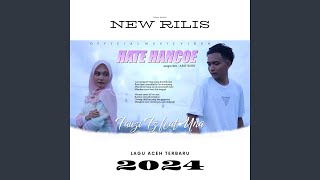 Download lagu HATE HANCOE mp3 Download lagu HATE HANCOE mp3