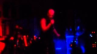 Michale Graves-Earth Vs. Spider