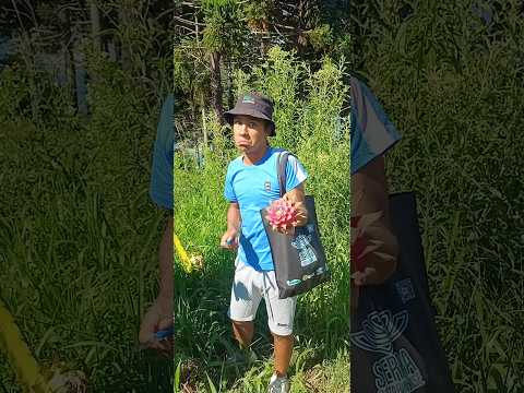 Davi colhendo muitas Pitayas em Cerro negro SC. #pitayas #colheitas