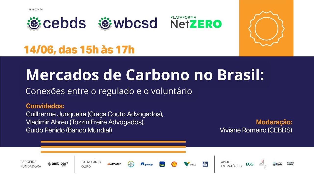 Mercados de carbono no Brasil: conexões entre regulado e voluntário