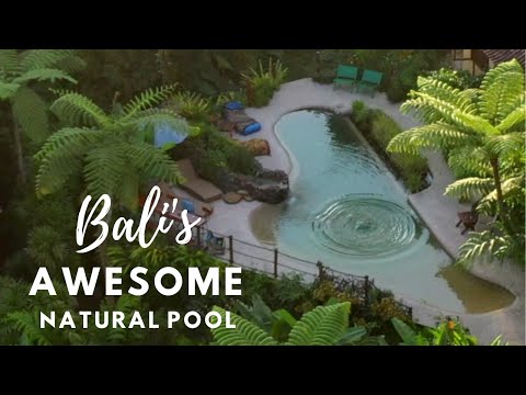 Natural swimming pool