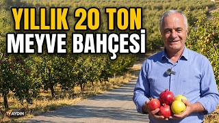 AYDIN'DA SATILIK 32 DÖNÜM ARAZİ İÇİNDE EV 500 ADET MEYVE AĞACI VAR ASFALT YOLA C