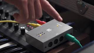 Video thumbnail for Transposing MIDI Notes with Midihub by Blokas