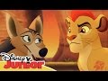 La Guardia Del León Momentos Especiales Chacales Disney Junior Oficial