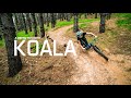 DEITY Koala Featuring Shelly Flood