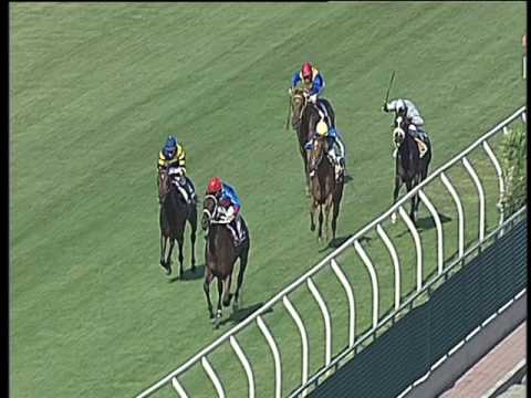 Galoppo 09/06/2017 - 2ª corsa