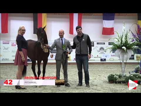 HIGHLIGHTS PRAGUE INTERCUP 2015