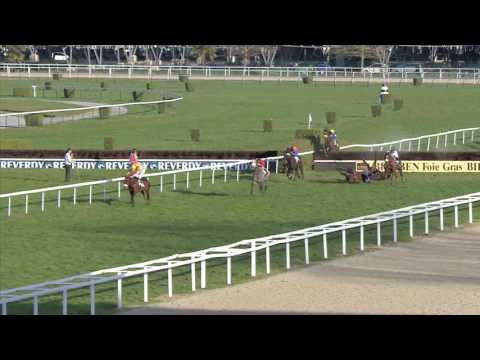 13 KONIG TURF - Salon des Etalons du Lion d'Angers 2017