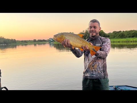 Expedição Pantanal parte II: Pescaria no Passo do Lontra - Rio Miranda 🐆🐊🎣