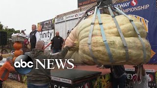 Pumpkin festival’s biggest champion weighs 2,560 pounds