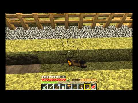 [HD]Let's Play Minecraft - Folge 585 - Das Problem mit der Beleuchtung