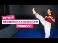 20 Min BEGINNER TAEKWONDO Workout At Home No Equipment