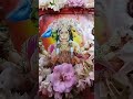 Sab Sukh Laye Tumhari Sarna Hanuman Chalisa Status Shorts