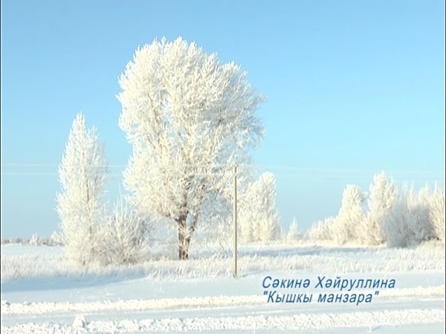 Кышкы манзара 