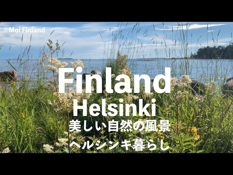 [Morando em Helsinque] Caminhe até a floresta e o Mar Báltico | Lindas flores silvestres | Finlândia no verão