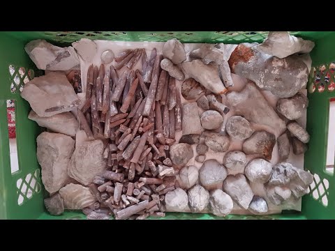 Fossilien suchen bei Outdoor Hannover in Hannover Misburg