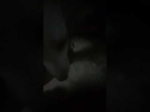 my dog 888888888888888888888888888888888888888888